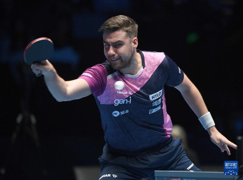 的侵略性与 的侵略性与